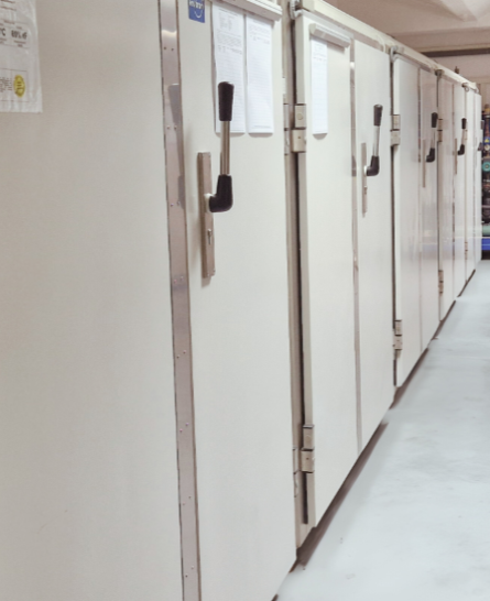 Alphalytik-KK-2-services